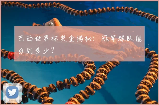 巴西世界杯奖金揭秘:冠军球队能分到多少?