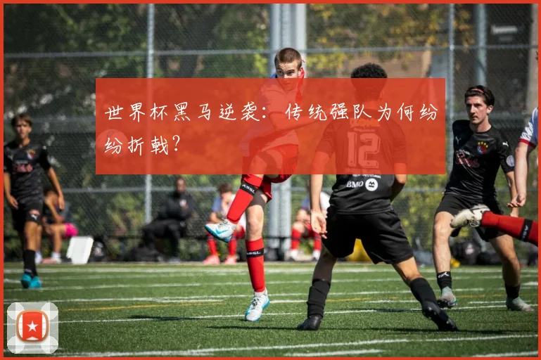 世界杯黑马逆袭：传统强队为何纷纷折戟？