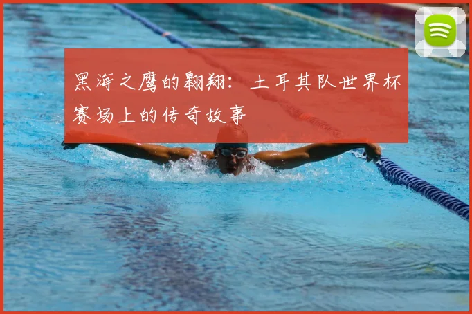 黑海之鹰的翱翔：土耳其队世界杯赛场上的传奇故事