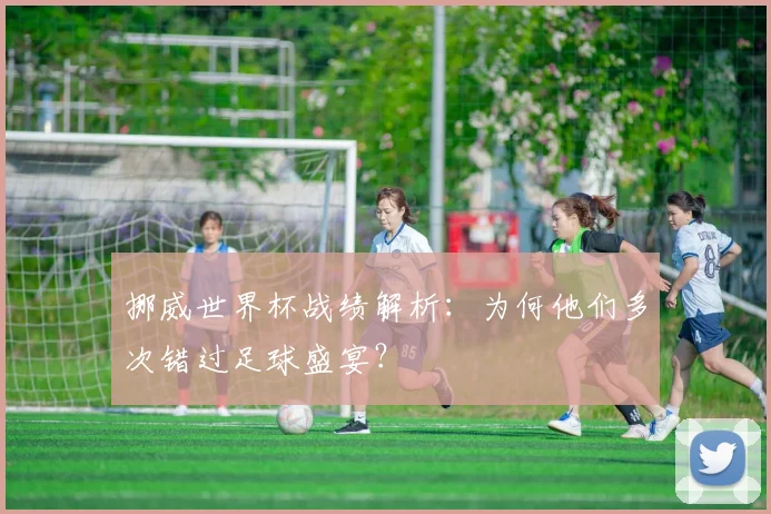 挪威世界杯战绩解析：为何他们多次错过足球盛宴？