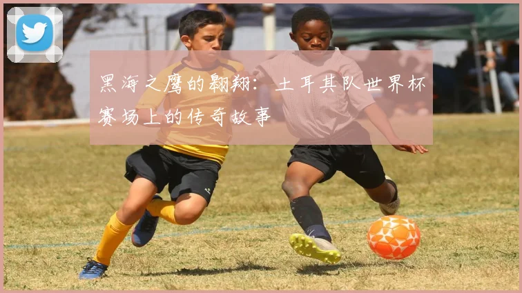 黑海之鹰的翱翔:土耳其队世界杯赛场上的传奇故事