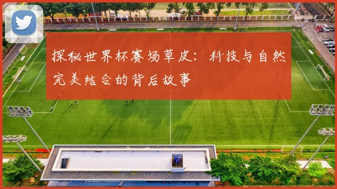 探秘世界杯赛场草皮：科技与自然完美结合的背后故事