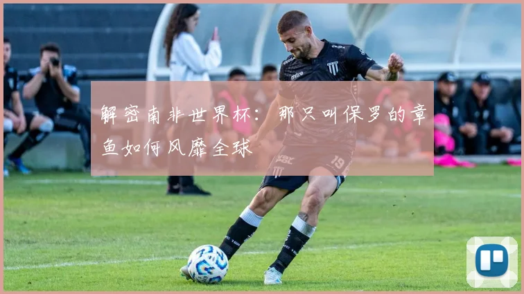 解密南非世界杯：那只叫保罗的章鱼如何风靡全球